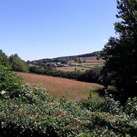 Studio Au Jardin Fleuri Verviers Exteriör bild