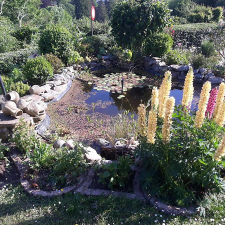 Studio Au Jardin Fleuri Verviers Exteriör bild