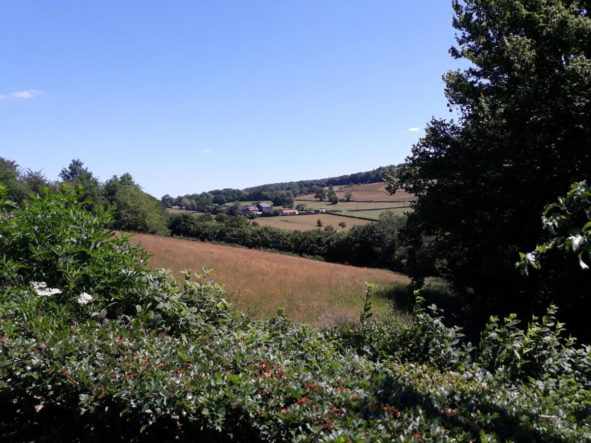 Studio Au Jardin Fleuri Verviers Exteriör bild