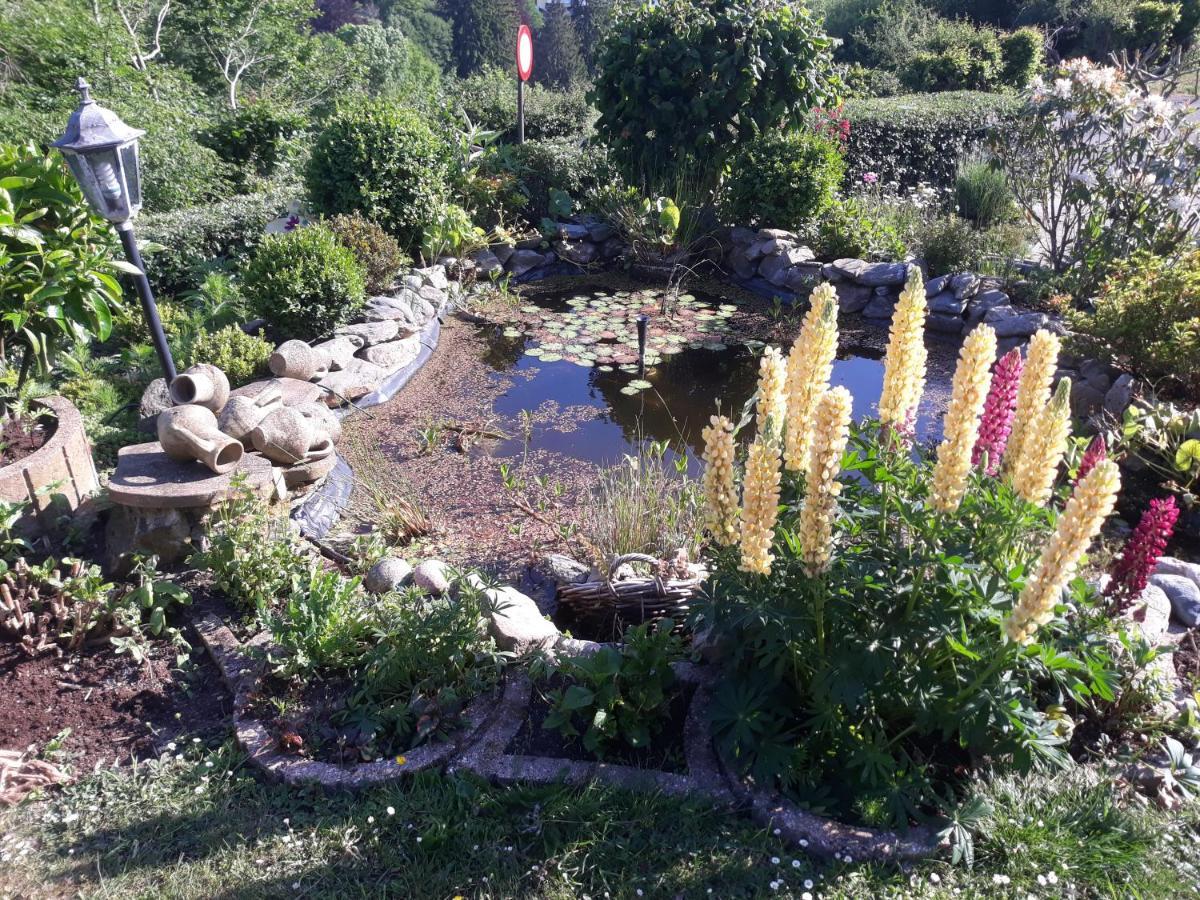 Studio Au Jardin Fleuri Verviers Exteriör bild