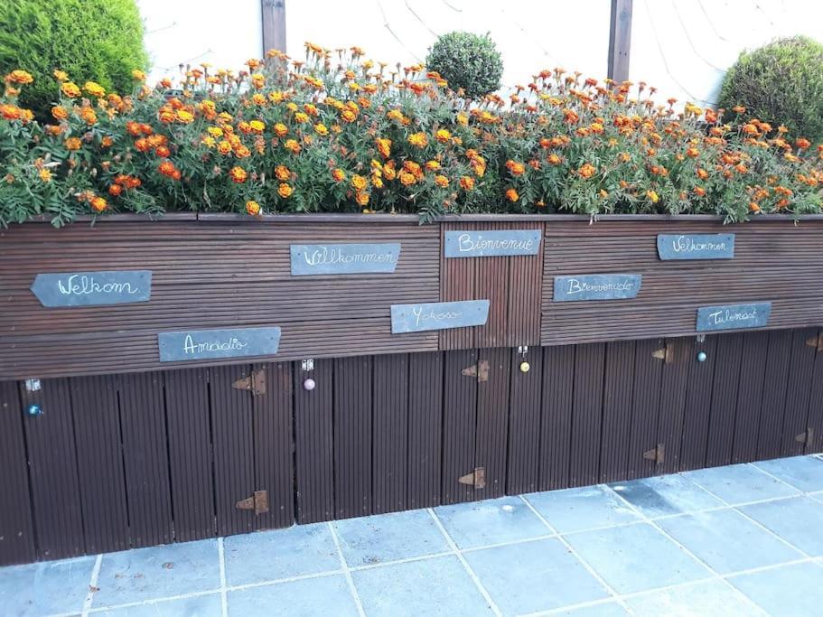 Studio Au Jardin Fleuri Verviers Exteriör bild