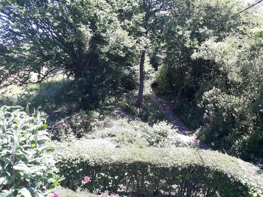 Studio Au Jardin Fleuri Verviers Exteriör bild